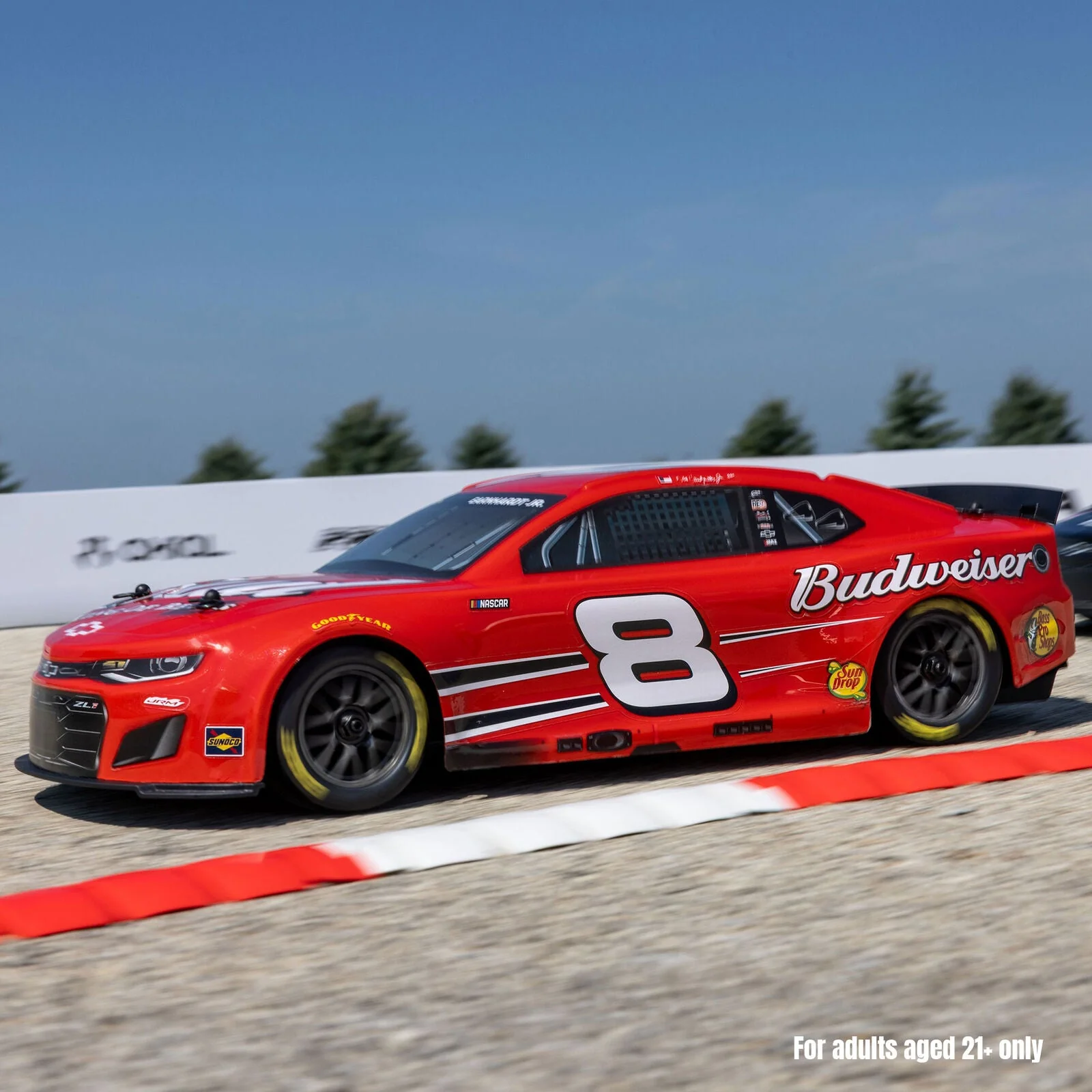 Losi 1/12 NASCAR Dale Earnhardt Jr. No. 8 Budweiser (Battery & Charger Included) - Image 6