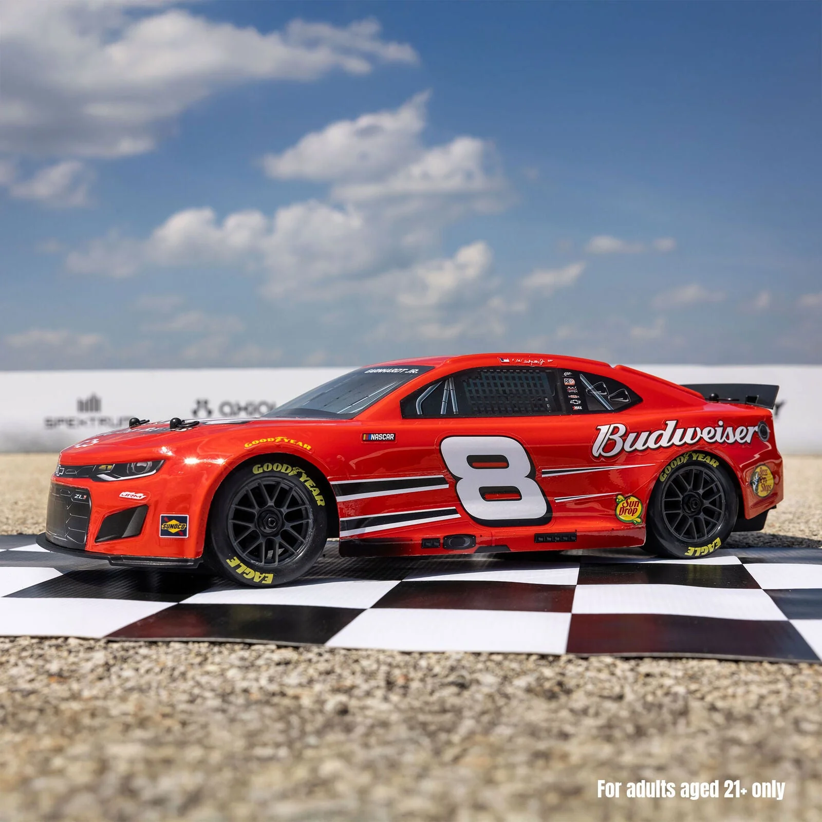 Losi 1/12 NASCAR Dale Earnhardt Jr. No. 8 Budweiser (Battery & Charger Included) - Image 8
