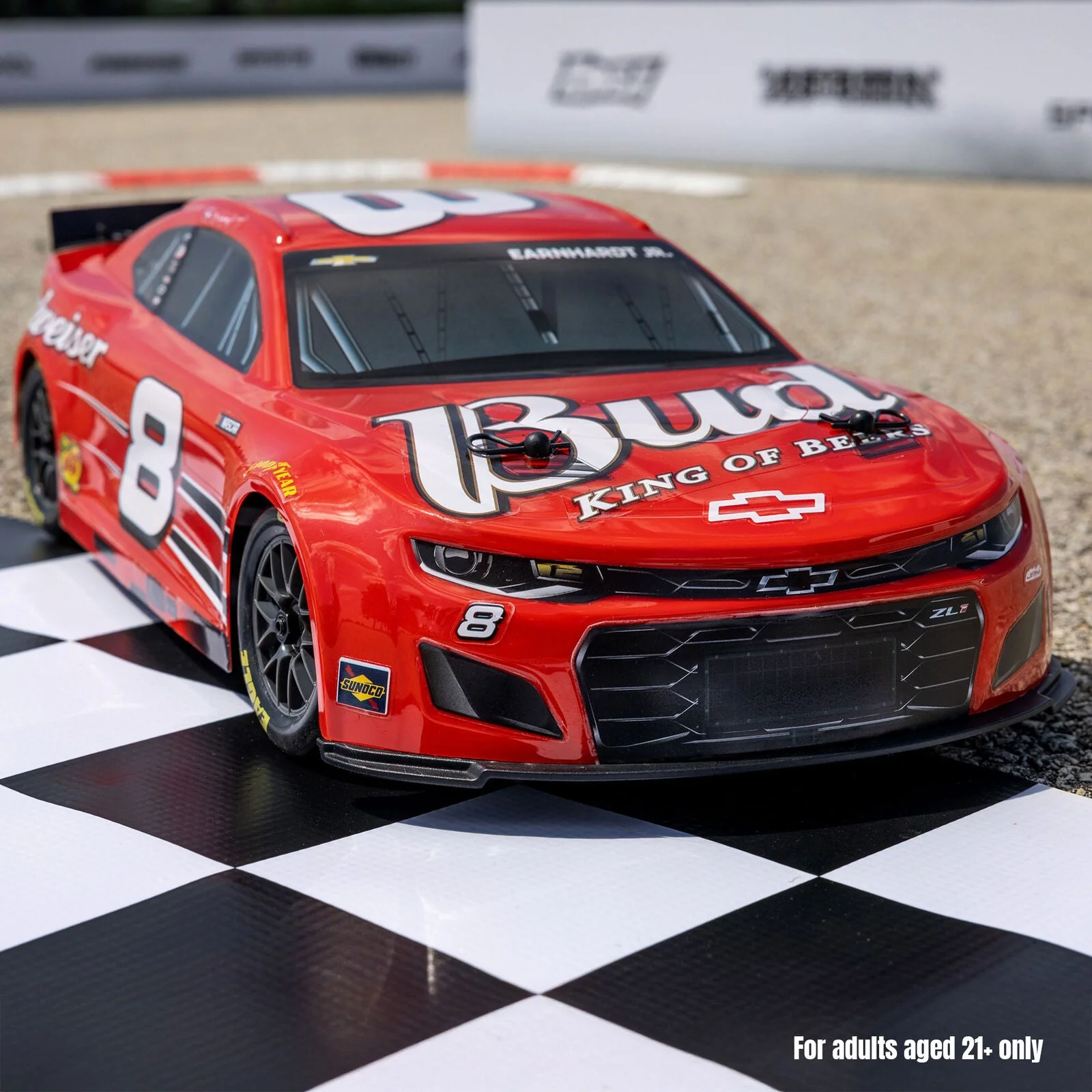 Losi 1/12 NASCAR Dale Earnhardt Jr. No. 8 Budweiser (Battery & Charger Included) - Image 9