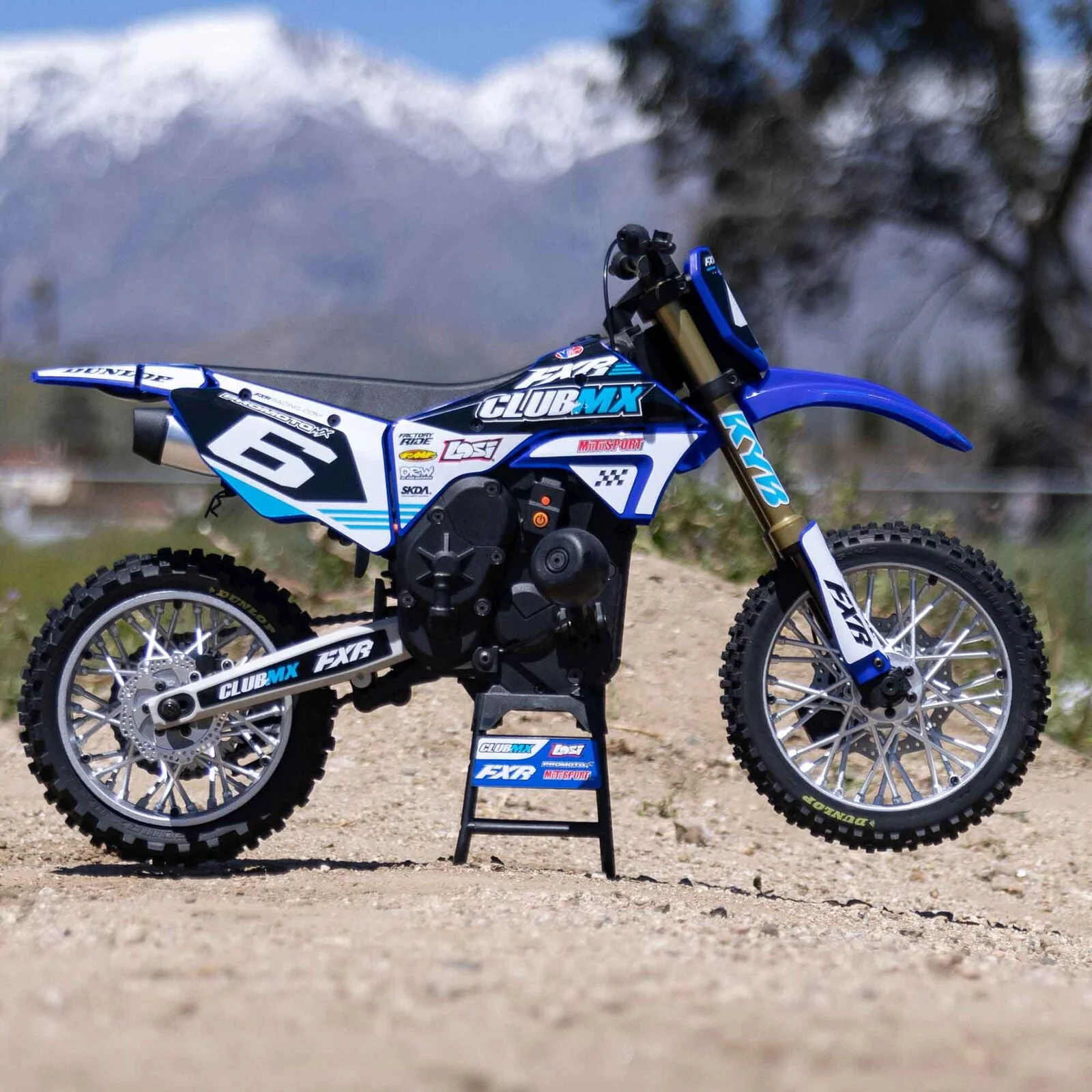 Losi 1/4 Promoto-MX Motorcycle RTR, Club MX - BLUE - Image 20